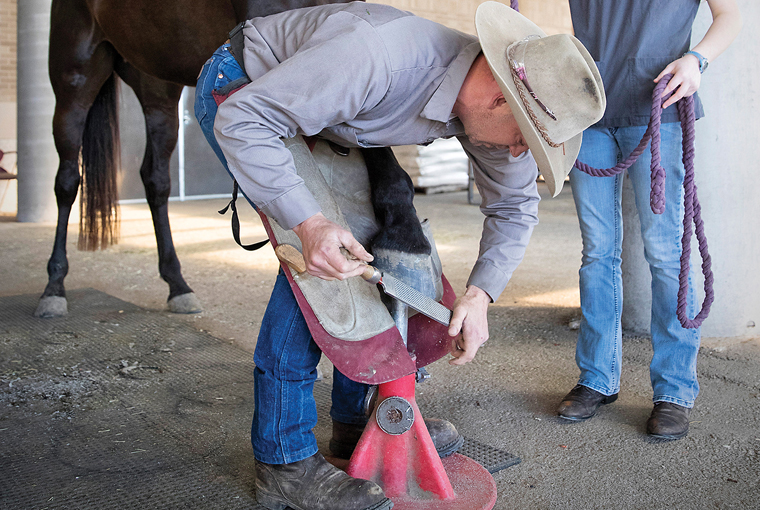 Hoof Rasps