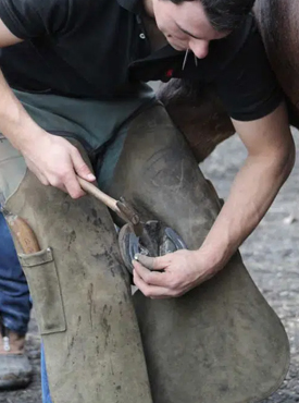 Farrier Hammer